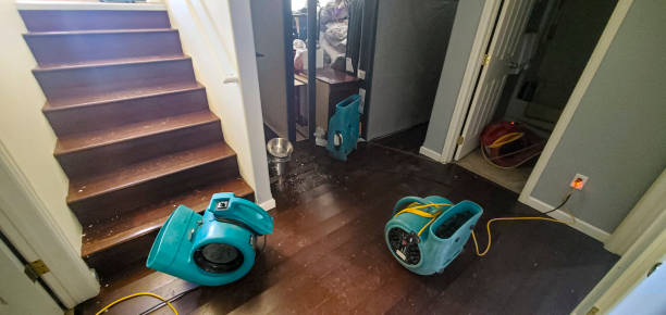 Best Ceiling water damage repair  in Muskogee, OK